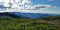 View from the peak of Black Balsam
