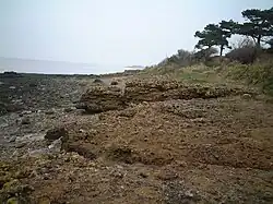 Rocky shoreline.
