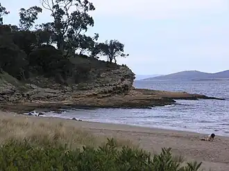 2008