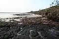 Blackrock Beach, Big Talbot Island