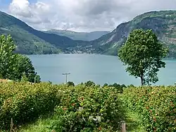 View of Solvorn from Ornes (across the fjord)