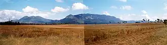 Blue Mountain, 2009