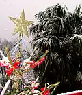 Christmas star in Croatia