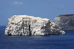 Large rock in the ocean with a large number of birds visible on its surface