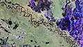 Bolivian forest and landscape from Biomass. This image was created using different polarisation channels, with each colour revealing distinct characteristics of the landscape (green: rainforest, red: forested floodplains and wetlands, blue–purple: grasslands, black: rivers and lakes).