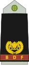 Major (Botswana Ground Force)[18]