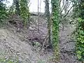 Boxford Chalk Pit