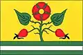 Flag of Bražec
