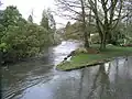 River Test