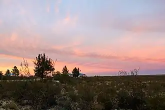 Evening landscape