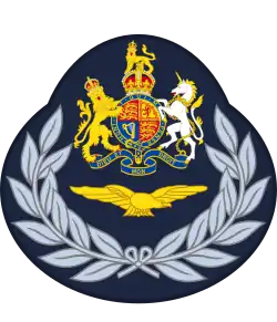 RAF eagle within a wreath below the Royal Arms