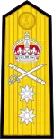 Shoulder board prior to 2001