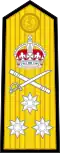 Shoulder board