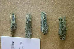 Arrowheads