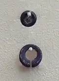 Bronze earrings.