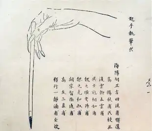 Diagram of correct brush position