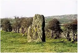 Y Werthyr, standing Stone near Bryn Llwyd farm