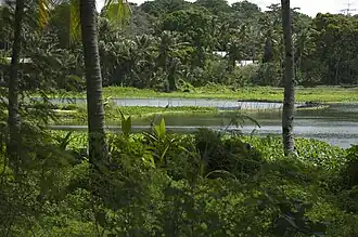 Arenibek by the Buada Lagoon