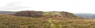 An outcrop covered in heather