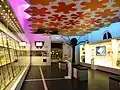 The butterflies chamber