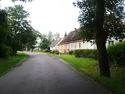 Buczyna