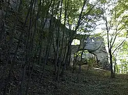Burg Schwarzenbach, Lower Austria