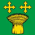 Flag of Assens