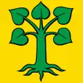 Flag of Beinwil (Freiamt)