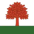 Flag of Buch am Irchel