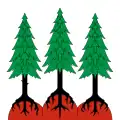 Flag of Les Bois