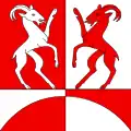 Flag of Ponte Capriasca