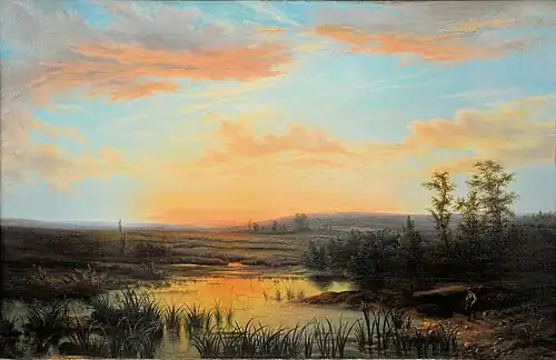Heide bij avond