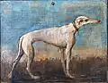 Greyhound, painted for Villa Tiepolo, Zianigo, now at Ca' Rezzonico, Venice