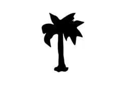 Palmetto flag flown by secessionist in Sacramento, California, per description. Displayed on February 23, 1861[18]