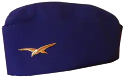 An example from the French Air and Space Force.