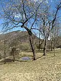 Mount Camiolo di Cima, waterhole, locally called lavàc
