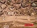 Cross-section of a carbonate hardground encrusted by oysters and bored by bivalves (Gastrochaenolites); Carmel Formation (Middle Jurassic) of southern Utah.