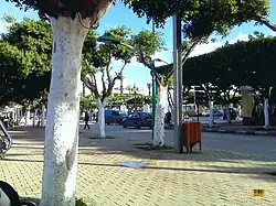 The city center of Hadjout