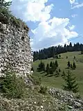 Oratea Fortress&nbsp;[ro] in Podu Dâmboviței, where Vlad the Impaler was once imprisoned