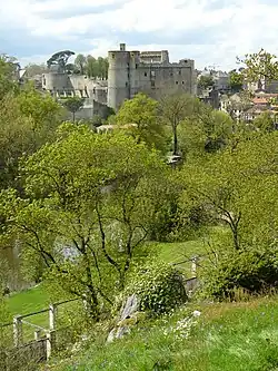 View of the château ruins on the horizon, in front of the town of Clisson and behind the park's vegetation.