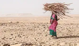 A woman wearing a pink and green patterned dress walks through a barren stony desert, carrying a large bundle of dried sticks above her head. The sky is overcast, with mountains in the distance being barely visible through the dusty air.
