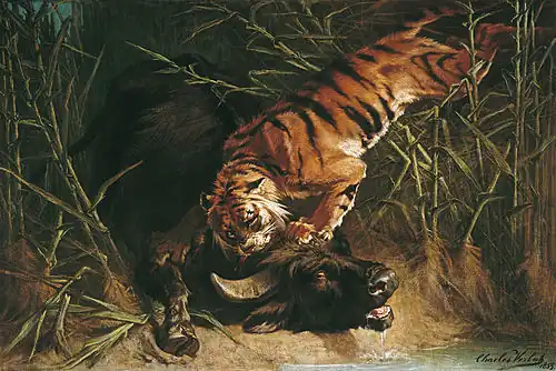 Buffalo Surprised by a Tiger by Charles Verlat