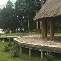 Horses near the cabins