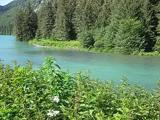 Outlet from the lake forming the Chilkoot River
