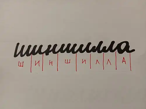 The word Шиншилла (shinshilla), which means "Chinchilla". In red, a decomposition of the handwritten text showing the block letter equivalent.
