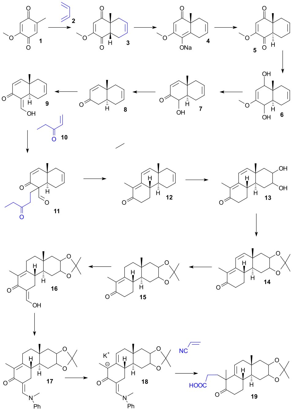 Cholesterol synthesis Woodward 1