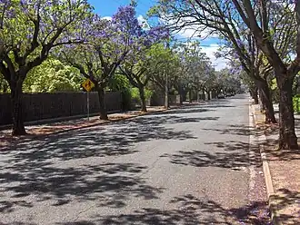 Churchill Avenue, looking south towards Cross Road