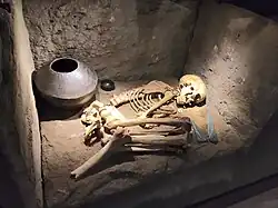 A skeleton, lying on its side, in a small tomb; metal vessels and sword/dagger blades can be seen around it.