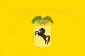 Flag of Metropolitan City of Naples