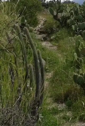 Habitat in La Vega, Peru